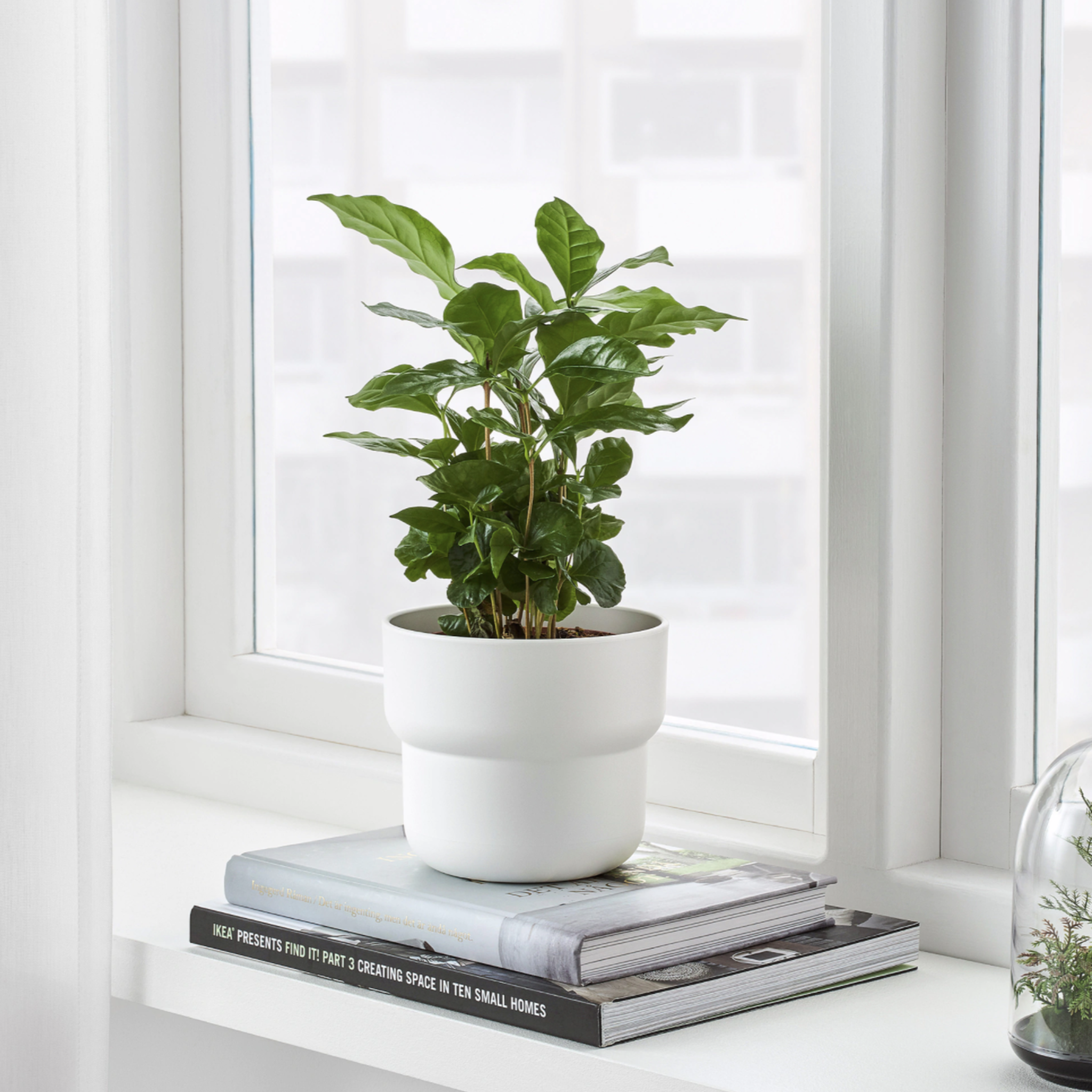 IKEA Forenlig Pot, White (6747510308929)