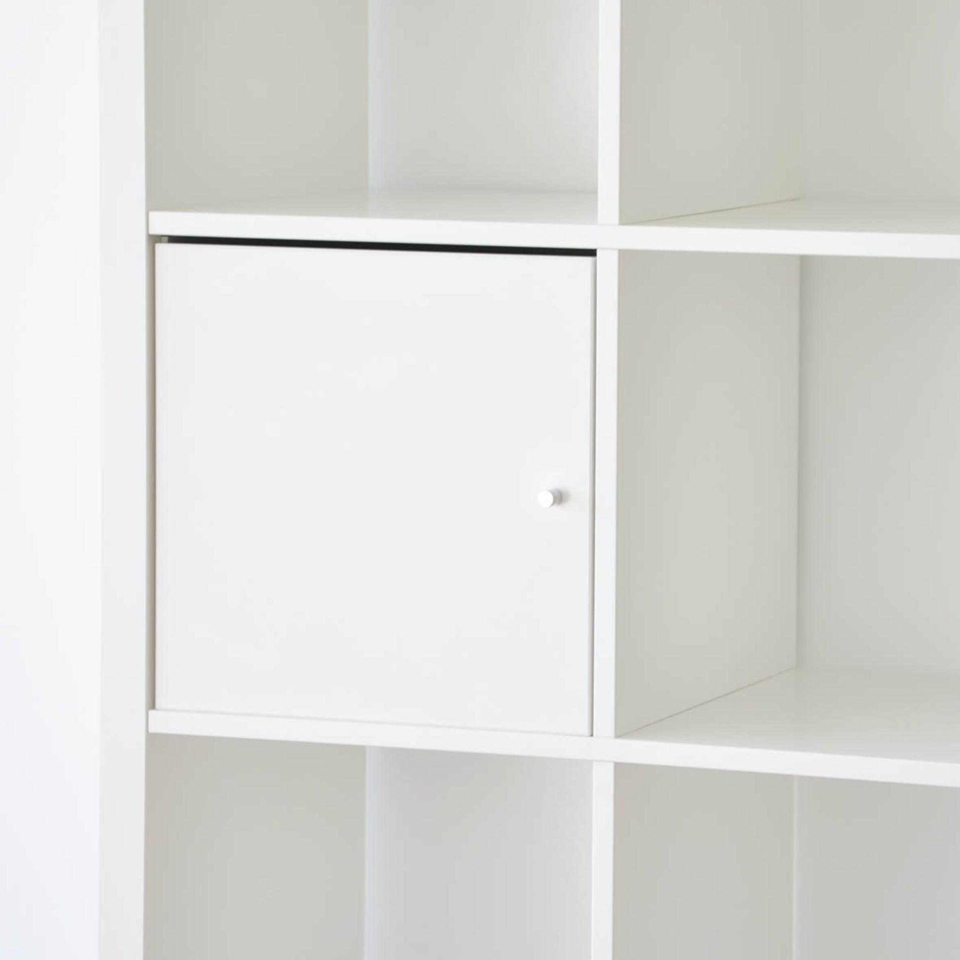 IKEA Kallax Insert with Door, White (595877764)