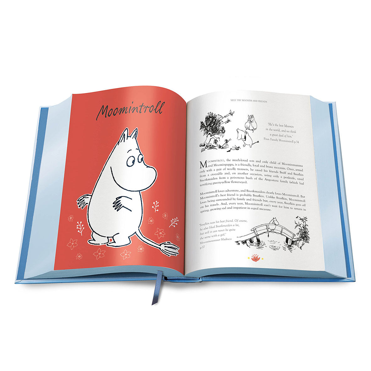 The Moomins: The World of Moominvalley (4510238015553)